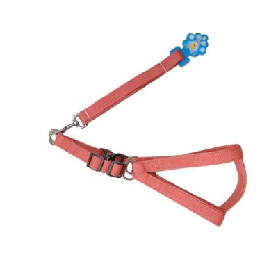 Λουρί – σαμάρι σκύλου 2 x 120 εκ [10501642]