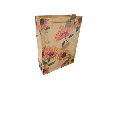 Χάρτινη τσάντα-σακούλα δώρου 33x24cm [11401233]