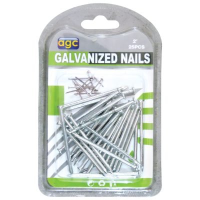 Σετ 25 γαλβανιζέ καρφιά 2″ [30601259]