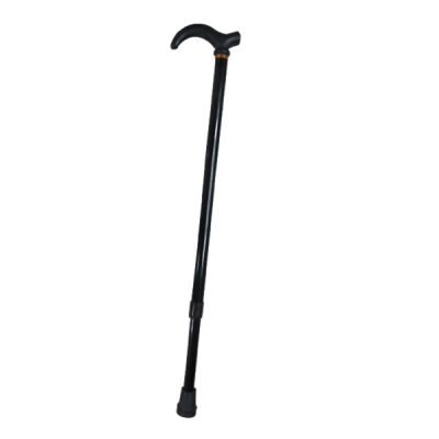 Μπαστούνι βάδισης επεκτεινόμενο με λαβή Τ [30501200]