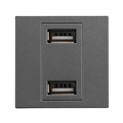 ΠΡΙΖΑ 2 Χ USB MODULES ΓΡΑΦΙΤΗΣ (152-20458)