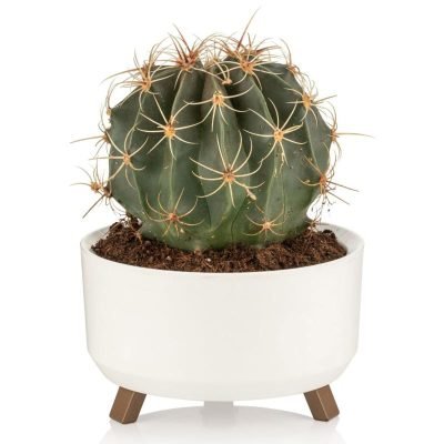 Γλάστρα πλαστική με ποδαράκια Νο1 0,7Lt. [70701421]