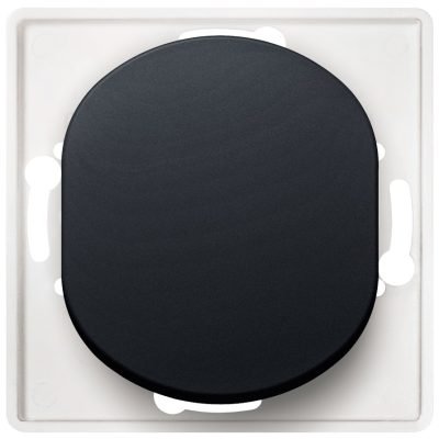 EON E6052.E1 Double pole switch without cover frame soft-touch black (15.005.0205)