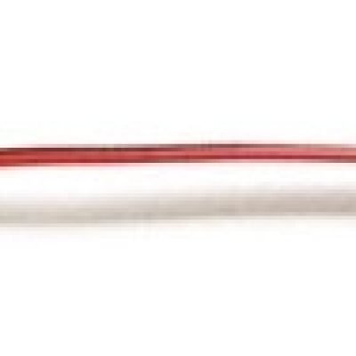 Avide LED Ταινία 12V 2835 12mm DC Σύνδεσης Θηλυκό (15.001.0272)