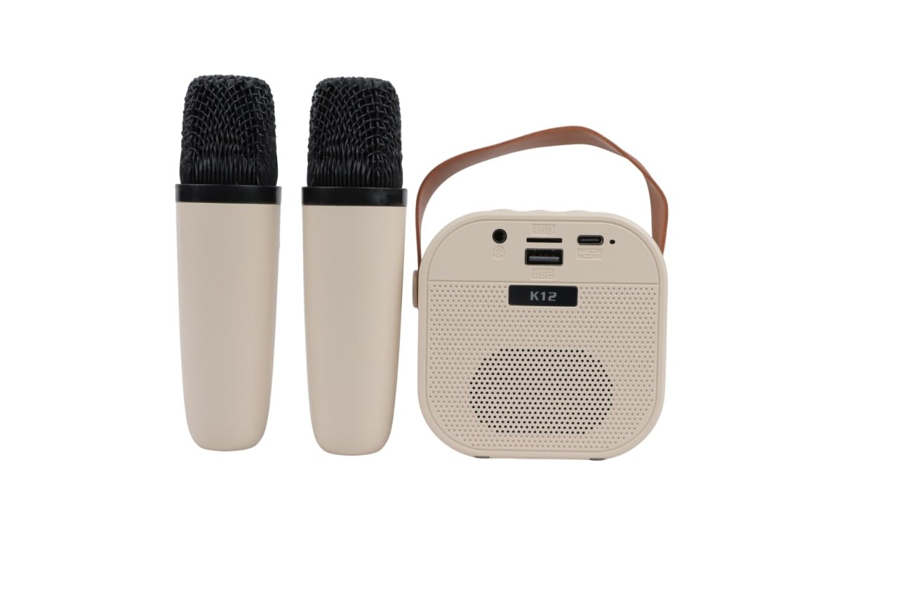 ATC-13 Ασύρματο Ηχείο Καραόκε με 2 Μικρόφωνα 5W RGB (20.001.0015) - Image 5