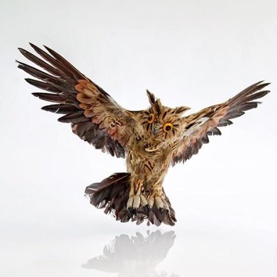 ΚΟΥΚΟΥΒΑΓΙΑ ΚΑΦΕ, 48x15x30cm (600-43720)