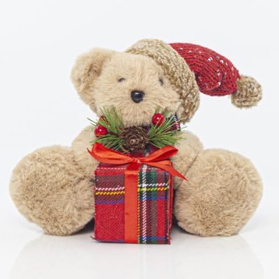 ΑΡΚΟΥΔΑΚΙ ΜΕ ΔΩΡΟ, 14x20x15cm (600-41123)