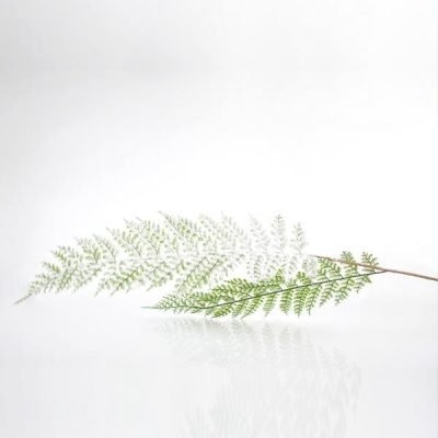 ΚΛΑΔΙ ΦΤΕΡΗ, ΜΕΝΤΑ, 92cm (600-44206)