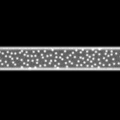 ΕΠΑΓΓΕΛΜΑΤΙΚΟ ΣΧΕΔΙΟ, ΕΠΙΤΟΙΧΙΟ, ΚΟΡΔΕΛΑ, 230V, ΛΕΥΚΟ LED ΦΩΤΟΣΩΛΗΝΑ, ΛΕΥΚΟ LED, 200x100cm, IP65 (600-23596)