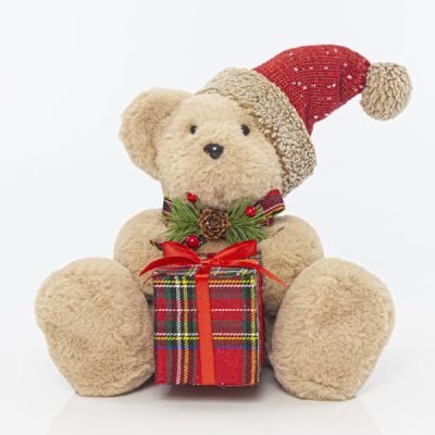 ΑΡΚΟΥΔΑΚΙ ΜΕ ΔΩΡΟ, 21x24x27cm (600-41122)