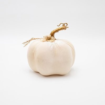 ΒΕΛΟΥΔΙΝΗ ΚΟΛΟΚΥΘΑ, ΥΠΟΛΕΥΚΗ, ΜΕ ΛΟΥΛΟΥΔΑΚΙΑ, 12x15cm (600-48086)