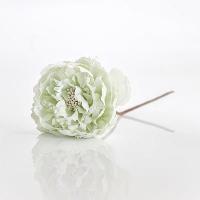 ΤΡΙΑΝΤΑΦΥΛΛΟ ΜΕΝΤΑ, 10x20cm (600-40661)