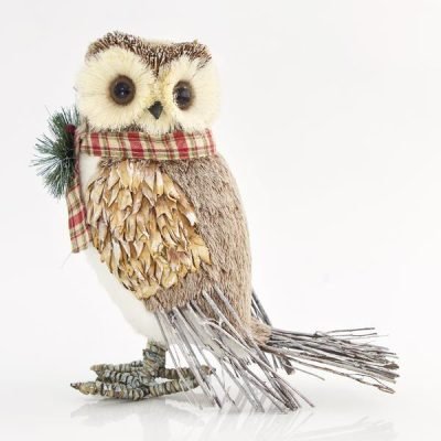 ΚΟΥΚΟΥΒΑΓΙΑ ΜΕ ΚΑΡΟ ΚΑΣΚΟΛ, 38x24x44cm (600-43225)