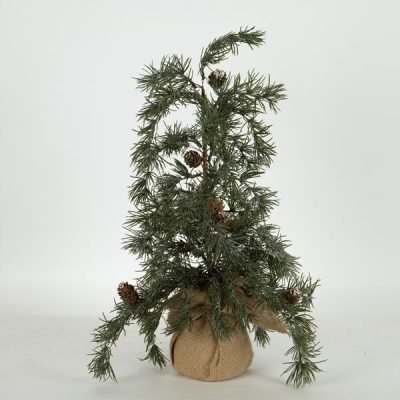 ΔΕΝΤΡΑΚΙ ΙΤΙΑ, 54cm (600-46372)