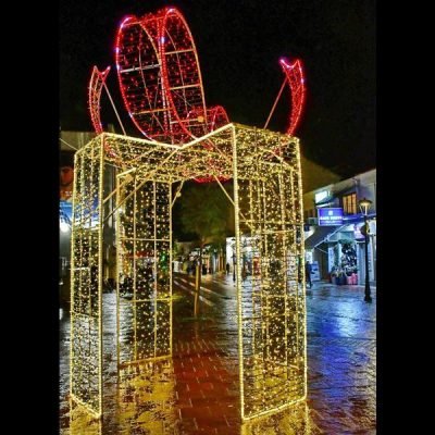 ΕΠΑΓΓΕΛΜΑΤΙΚΟ ΣΧΕΔΙΟ, ΔΩΡΟ 3D, ΘΕΡΜΗ ΛΕΥΚΗ ΚΑΙ ΚΟΚΚΙΝΗ LED ΦΩΤΟΣΩΛΗΝΑ, ΘΕΡΜΟ ΛΕΥΚΟ ΚΑΙ ΚΟΚΚΙΝΟ LED, 450x300cm, IP65 (600-23444)