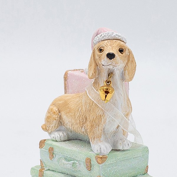 ΣΤΟΛΙΔΙ ΠΟΛΥΡΕΖΙΝ, ΣΚΥΛΑΚΙ ΣΕ ΒΑΛΙΤΣΑ, ΠΑΛ ΧΡΩΜΑ, 6x10cm (600-46920) - Image 3