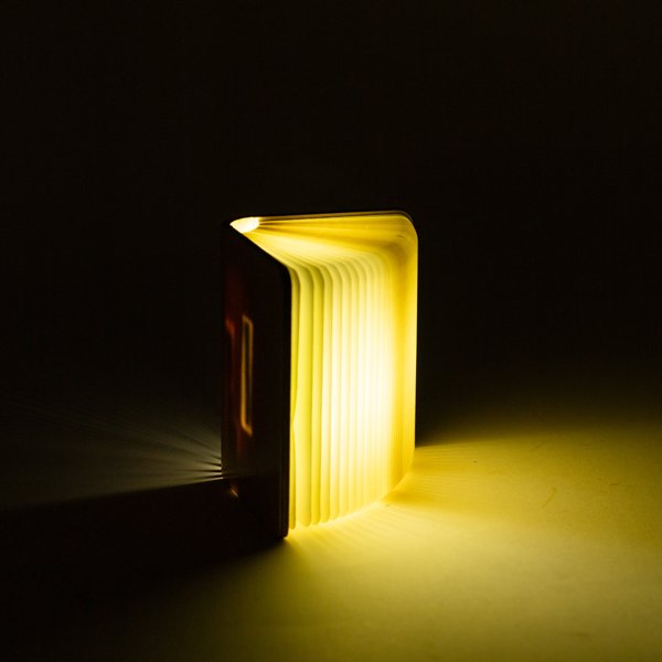 ΒΙΒΛΙΟ ΦΩΤΙΖΟΜΕΝΟ 8,5x12, 8 LED, ΕΠΑΝΑΦΟΡΤΙΖΟΜΕΝΗ ΜΠΑΤΑΡΙΑ, ΘΕΡΜΟ ΛΕΥΚΟ/ΘΕΡΜΟ/ΛΕΥΚΟ LED, USB TO TYPE C WIRE, ΠΡΟΕΚΤΑΣΗ ΠΑΡΟΧΗΣ 30cm, IP20 (600-48025) - Image 3