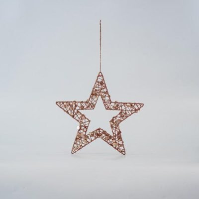 ΑΣΤΕΡΙ ΜΕ ΠΑΓΙΕΤΕΣ, ΣΑΜΠΑΝΙ, 25cm (600-45635)