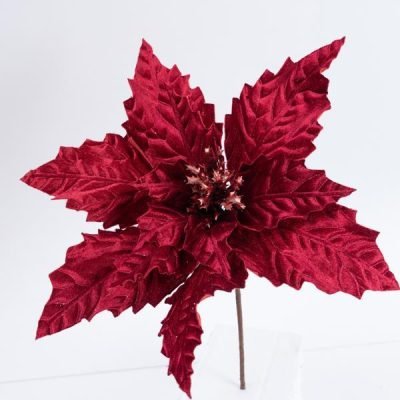 ΒΕΛΟΥΔΙΝΟ ΑΛΕΞΑΝΔΡΙΝΟ ΜΠΟΡΝΤΟ, 37x24cm (600-46168)