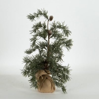 ΔΕΝΤΡΑΚΙ ΙΤΙΑ, 44cm (600-46370)