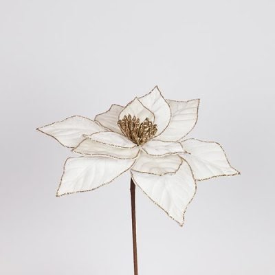 ΑΛΕΞΑΝΔΡΙΝΟ ΙΒΟΥΑΡ, 30x44cm (600-47420)