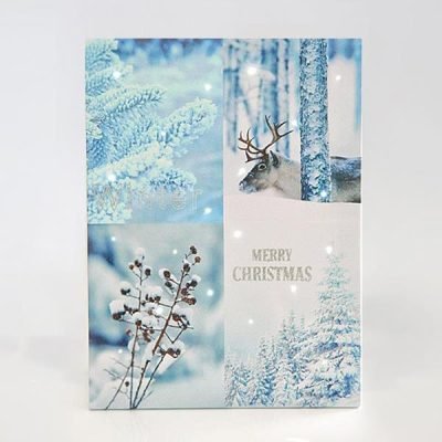 ΚΑΔΡΟ ΜΕ ΧΙΟΝΙΣΜΕΝΗ ΠΑΡΑΣΤΑΣΗ, 30x40cm, ΜΕ 20 LED ΜΠΑΤΑΡΙΑΣ (600-41507)