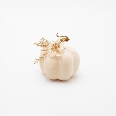 ΒΕΛΟΥΔΙΝΗ ΚΟΛΟΚΥΘΑ, ΥΠΟΛΕΥΚΗ, ΜΕ ΛΟΥΛΟΥΔΑΚΙΑ, 8x8cm (600-48087)