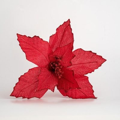 ΑΛΕΞΑΝΔΡΙΝΟ, ΚΟΚΚΙΝΟ, 27x22cm (600-45385)