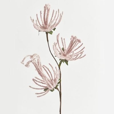 ΚΛΑΔΙ, ΜΕ ΡΟΖ ΛΟΥΛΟΥΔΙΑ, 51cm (600-45921)