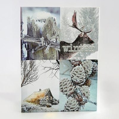 ΚΑΔΡΟ ΜΕ ΧΙΟΝΙΣΜΕΝΗ ΠΑΡΑΣΤΑΣΗ, 30x40cm, ΜΕ 26 LED ΜΠΑΤΑΡΙΑΣ (600-41505)