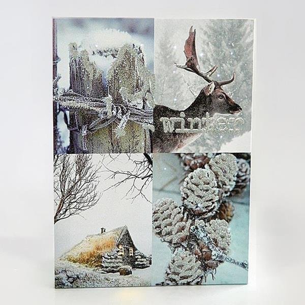 ΚΑΔΡΟ ΜΕ ΧΙΟΝΙΣΜΕΝΗ ΠΑΡΑΣΤΑΣΗ, 30x40cm, ΜΕ 26 LED ΜΠΑΤΑΡΙΑΣ (600-41505)