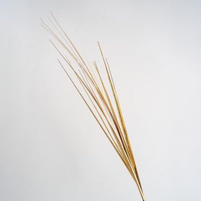 ΚΛΑΔΙ, ΧΡΥΣΟ ΜΕΤΑΛΙΖΕ, 80cm (600-45427)