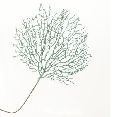 ΚΛΑΔΙ ΚΟΡΑΛΙ ΜΕΝΤΑ, 65cm (600-40941)