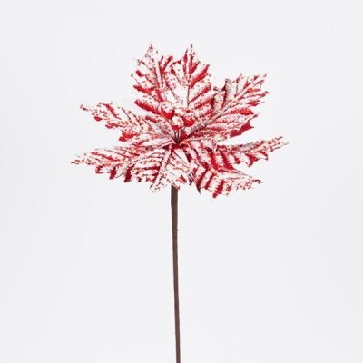 ΑΛΕΞΑΝΔΡΙΝΟ CANDY, ΠΑΓΩΜΕΝΟ, 27x45cm (600-47424)