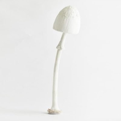 ΜΑΝΙΤΑΡΙ, ΛΕΥΚΟ, ΜΕ ΛΕΥΚΟ ΚΟΡΜΟ, 20x20x84cm (600-44066)