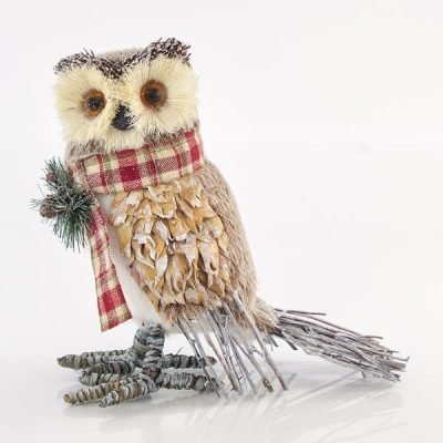 ΚΟΥΚΟΥΒΑΓΙΑ ΜΕ ΚΑΡΟ ΚΑΣΚΟΛ, 21x13x25cm (600-43224)