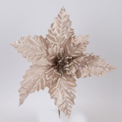 ΒΕΛΟΥΔΙΝΟ ΑΛΕΞΑΝΔΡΙΝΟ ΣΑΜΠΑΝΙ, 37x24cm (600-46170)