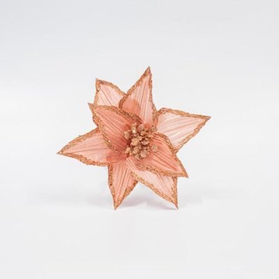 ΛΙΛΙΟΥΜ, ΣΟΜΟΝ, 26x18cm (600-45685)