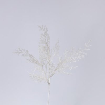 ΦΤΕΡΗ ΛΕΥΚΗ, 28cm, ΣΕΤ 2ΤΜΧ (TOP 120) (600-46559)