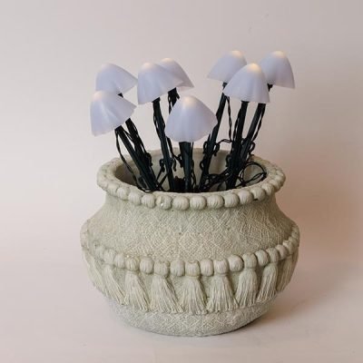 ΣΕΙΡΑ, 8 LED 5mm, ΛΕΥΚΑ ΠΛΑΣΤΙΚΑ ΜΑΝΙΤΑΡΙΑ H20cm, ΗΛΙΑΚΟ ΠΑΝΕΛ ΜΕ ΑΙΣΘΗΤΗΡΑ ΦΩΤΟΣ, ΠΡΑΣΙΝΟ PVC ΚΑΛΩΔΙΟ, ΘΕΡΜΟ ΛΕΥΚΟ LED ANA 50cm, ΠΡΟΕΚΤΑΣΗ ΠΑΡΟΧΗΣ 1m, IP44 (600-04480)