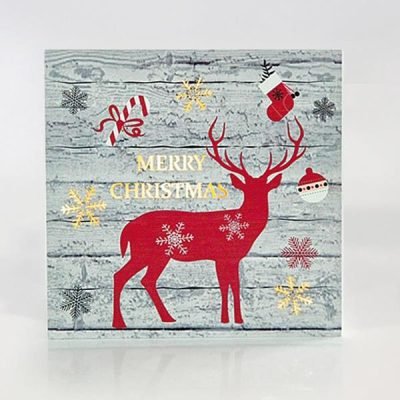 ΚΑΔΡΟ ΜΕ ΤΑΡΑΝΔΑΚΙ, 25x25x3cm, ΜΕ 15 LED ΜΠΑΤΑΡΙΑΣ (600-41503)