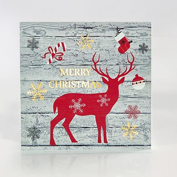 ΚΑΔΡΟ ΜΕ ΤΑΡΑΝΔΑΚΙ, 25x25x3cm, ΜΕ 15 LED ΜΠΑΤΑΡΙΑΣ (600-41503)