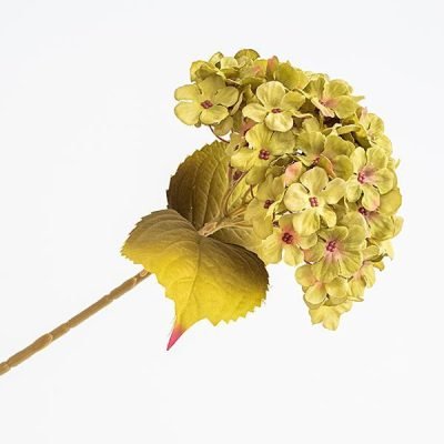 ΟΡΤΑΝΣΙΑ, ΠΡΑΣΙΝΗ, 17x45cm (600-45441)