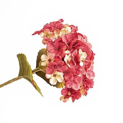 ΟΡΤΑΝΣΙΑ, ΜΠΟΡΝΤΩ, 17x45cm (600-45444)