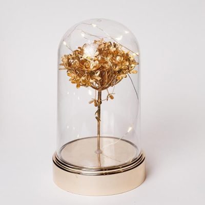 ΠΛΑΣΤΙΚΟΣ ΘΟΛΟΣ H20cm, Φ11cm, ΜΠΑΤΑΡΙΑΣ 3XAA, ΧΡΟΝΟΔΙΑΚΟΠΤΗΣ, 10 ΘΕΡΜΑ ΛΕΥΚΑ LED, ΑΣΗΜΈΝΙΟ ΧΑΛΚΙΝΟ ΚΑΛΩΔΙΟ, ΧΡΥΣΟ ΛΟΥΛΟΥΔΙ ΟΡΤΑΝΣΙΑ, IP20 (600-46656)