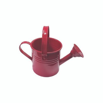 Ποτιστηράκι μεταλλικό 8 x 11cm [10701314]