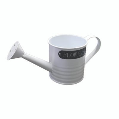 Ποτιστηράκι μεταλλικό 10,5 x 10cm [10701315]