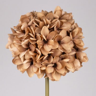 ΜΑΝΩΛΙΑ, ΚΑΦΕ, 35x35x130cm (600-48635)