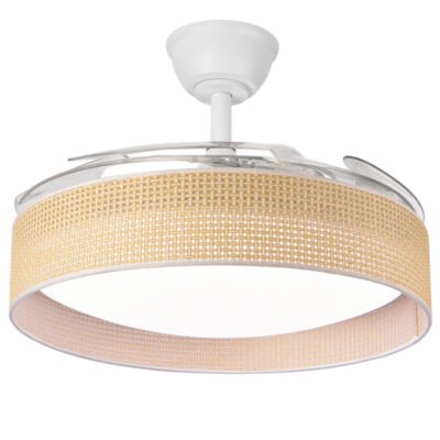 ΑΝΕΜΙΣΤΗΡΑΣ ΟΡΟΦΗΣ ΛΕΥΚΟΣ ΜΕ ΑΝΟΙΓΟΚΛΕΙΟΜΕΝΕΣ ΦΤΕΡΩΤΕΣ ΚΑΙ ΚΑΦΕ ΠΛΕΚΤΟ Φ106 30W DC ΜΟΤΕΡ ΜΕ LED ΦΩΣ 45W ΚΑΙ ΚΟΝΤΡΟΛ (300-25086)