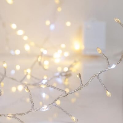 CLUSTER 2,5m, 200 MINI LED, ΜΕΤΑΣΧΗΜΑΤΙΣΤΗ, ΣΤΑΘΕΡΟ, ΑΣΗΜΙ ΧΑΛΚΙΝΟ ΚΑΛΩΔΙΟ, 100 ΘΕΡΜΟ ΛΕΥΚΟ LED, 100 ΛΕΥΚΟ LED ΜΕ ΠΡΟΓΡΑΜΜΑ SNOWFALL, ΠΡΟΕΚΤΑΣΗ ΠΑΡΟΧΗΣ 5m, IP44 (600-08931)